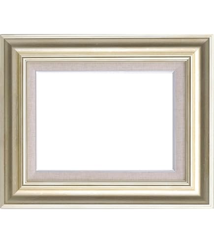 Amazon.co.jp: ラーソン・ジュール・ニッポン 額縁 A719 F20 枠のみ